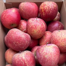 丑苹果上市每天现摘现发货